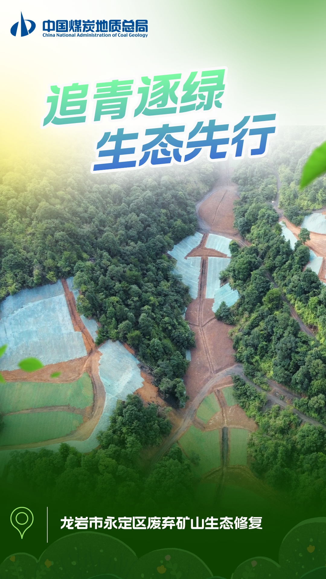 龙岩.png 龙岩.png