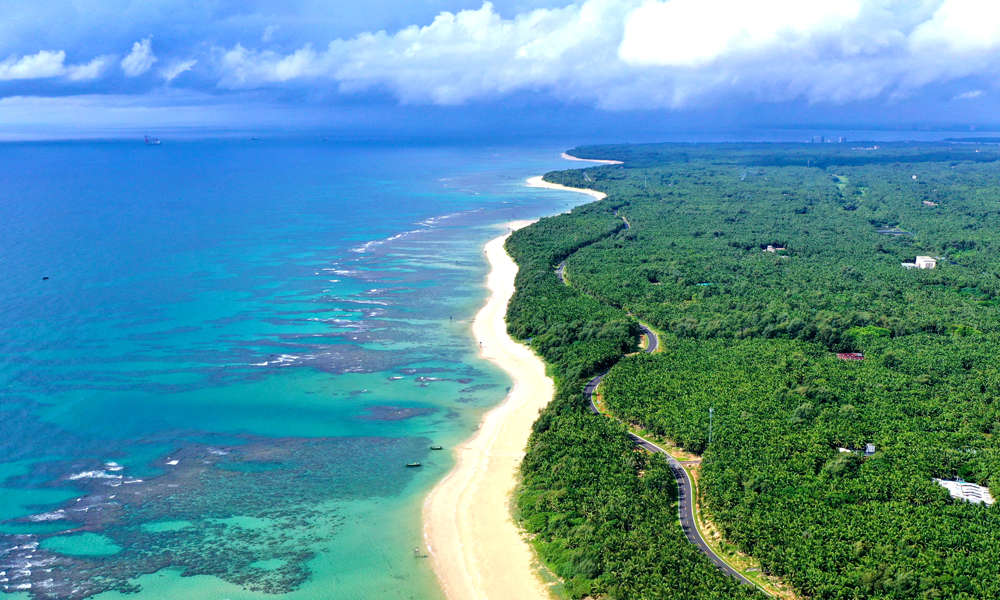在穿越昌化江、珠碧江、海尾湿地公园等生态保护重点管控区时，为最大限度减少施工对湿地鸟类及自然环境的影响，项目团队禁止工程车辆鸣笛，并根据鸟类活动规律，禁止早晚和中午进行高噪声施工；为避免污染物排放，大桥桩基施工采用泥沙分离器，缩短了桩基施工的清孔时间，极大提高了废弃泥浆重复利用率，减少了废弃泥浆外运量。图为海南环岛旅游公路文昌段东郊椰林。
