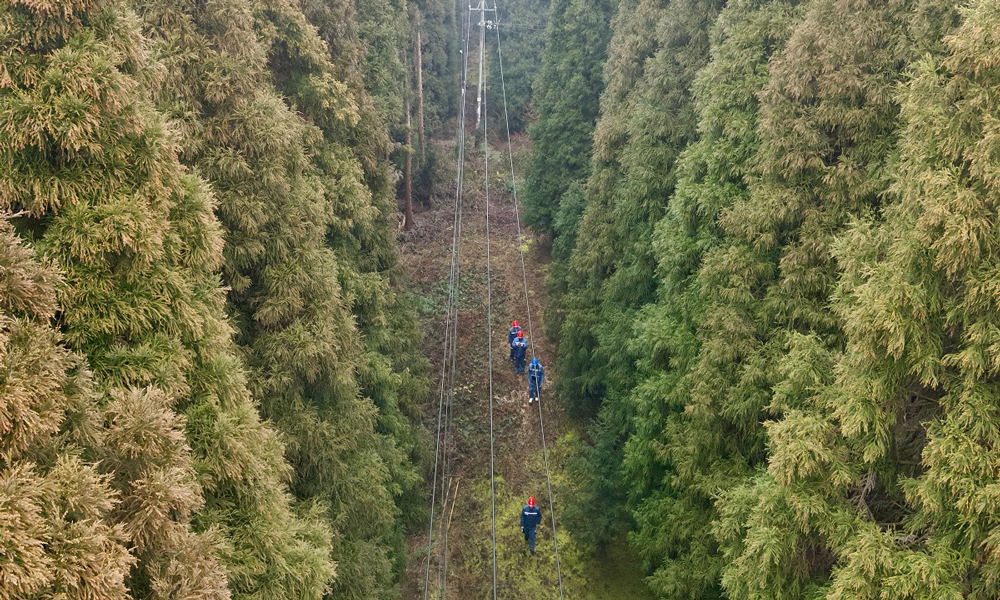 当前进入春季山火高发期，烧荒、踏青、祭祀等野外用火行为增多，山火风险增大。与此同时，田间地头已是一派繁忙景象——广西钦州的农户抢抓晴时翻整土地，云南红河的马铃薯基地机器轰鸣，贵州凯里的万亩油菜花竞相开放……山火对电网安全运行影响大，春耕备耕保供电点多面广，面对“双重考验”，南方电网从监测预警、政企联动、隐患治理、应急处置等方面制定风险防范举措，全力护航电网安全，保障春耕春种等民生用电。