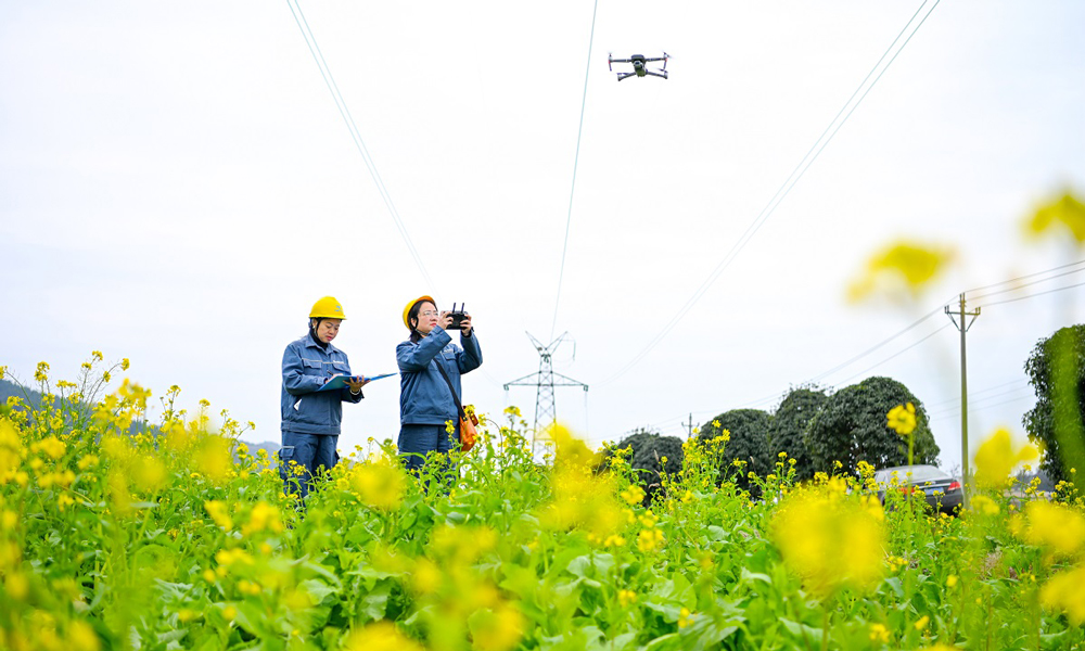 南方电网贵州凯里岑巩供电局对10千伏水坝线的杆塔、绝缘子、导线、开关等进行逐一“体检”，全力保障春耕生产电力供应。