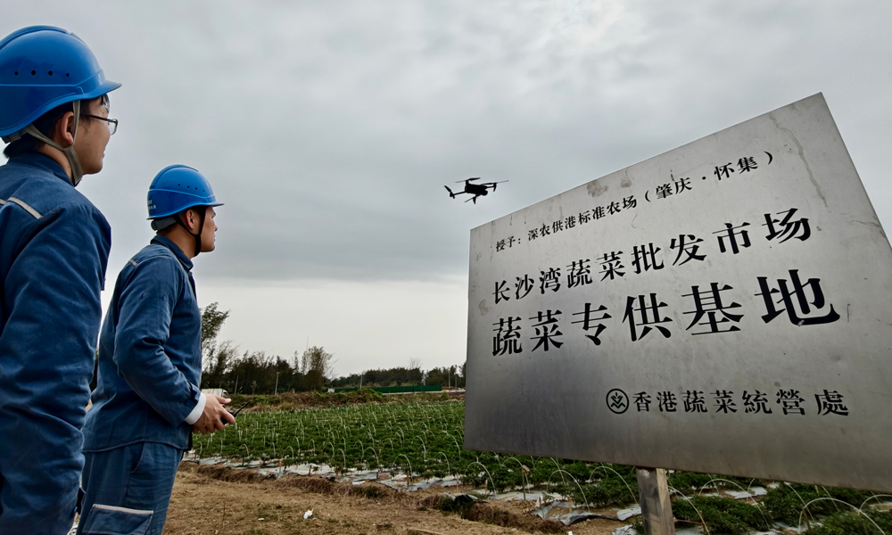 南方电网广东肇庆怀集供电局对长沙湾供港蔬菜基地相关线路开展无人机飞巡，及时对智能微网储能系统进行运维消缺，全力服务粤港澳大湾区“菜篮子”基地春耕用电。