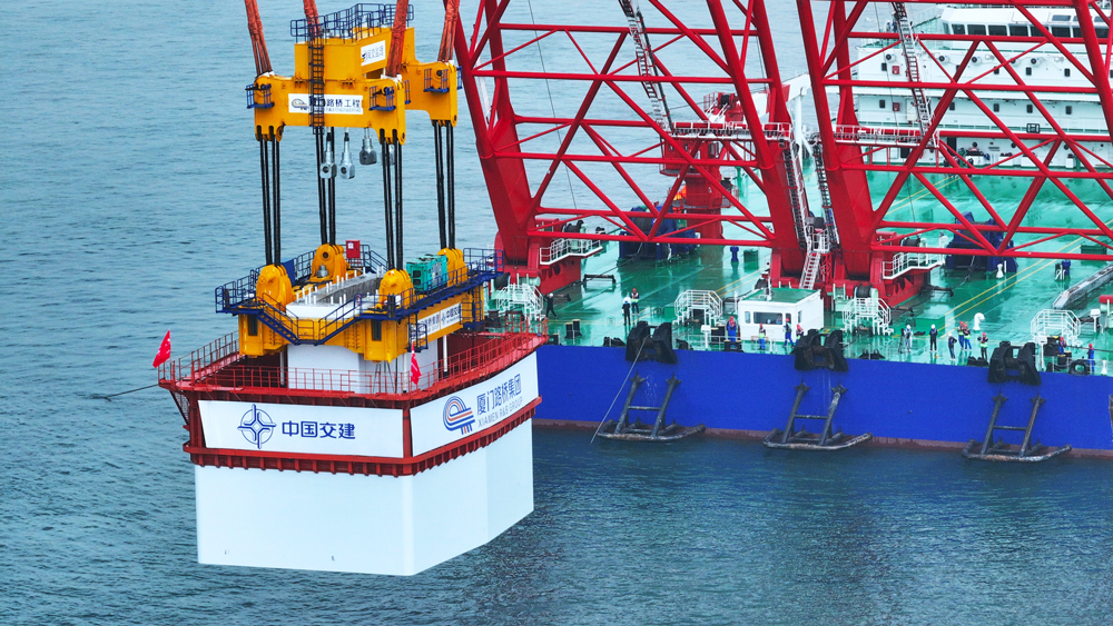 厦金大桥(厦门段)项目是构建厦金“同城生活圈”的先手棋。项目全线建成通车后，将与翔安机场、厦金航线共同构建起对台海陆空立体交通新格局，对福建省探索海峡两岸融合发展新路径，建设两岸融合发展示范区具有重要意义。