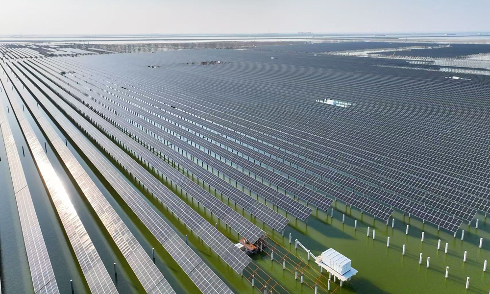 中国华能滨州85万千瓦光伏项目位于山东省滨州市沾化区滨海镇，占用海域滩涂1.58万亩，安装光伏组件169万余块，敷设电缆超8000公里，集电线路最大跨距1273米，是山东省跨距最大的输电工程。