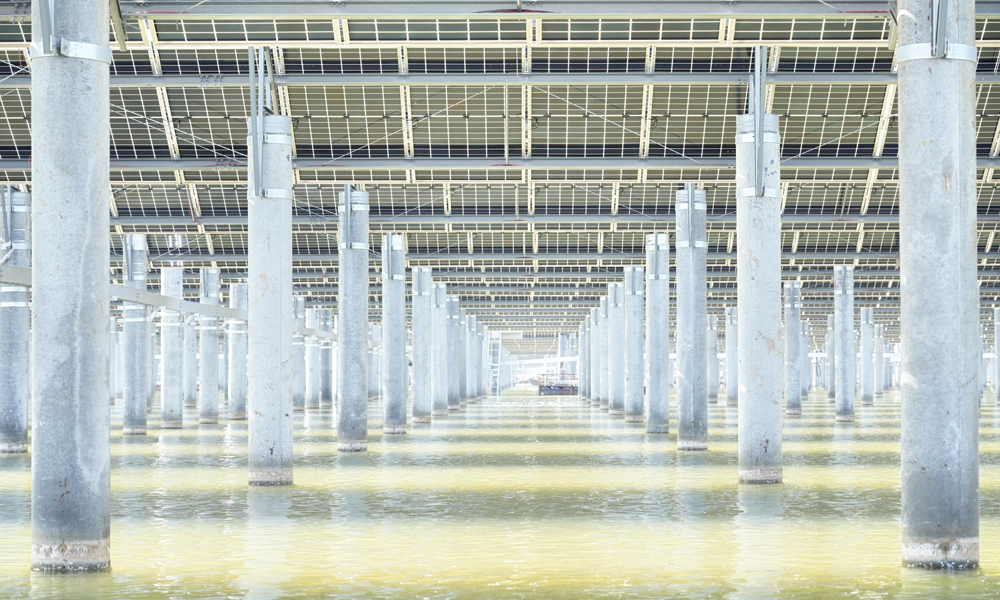 作为鲁北盐碱滩涂地风光储输一体化基地重点项目，项目还打造了“水上光伏发电+水下海产养殖”的循环经济模式，在提供清洁电能的同时兼顾海域养殖、海水晒盐与提溴等，实现海域空间立体开发和综合利用，助力黄河流域生态保护和高质量发展。