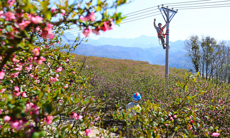 国家电网湖北宜昌长阳县供电公司工作人员对农业生产线路开展特巡特护。