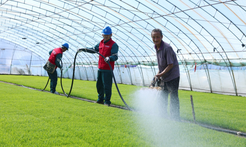 国家电网吉林松原供电公司工作人员在水稻育苗大棚检查灌溉用电设备。