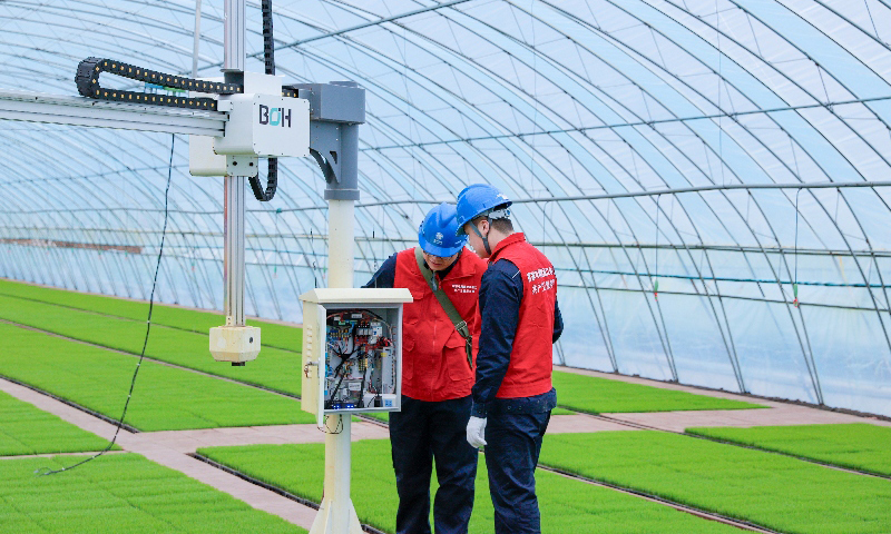 国家电网黑龙江双鸭山供电公司工作人员为智能育秧中心检修秧苗喷淋设备。