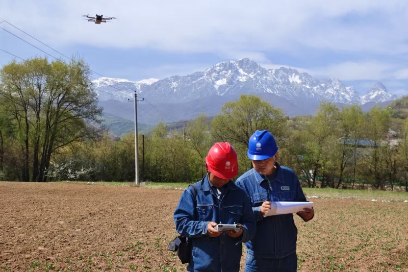 国家电网甘肃临夏供电公司工作人员对10千伏马集线开展特巡。