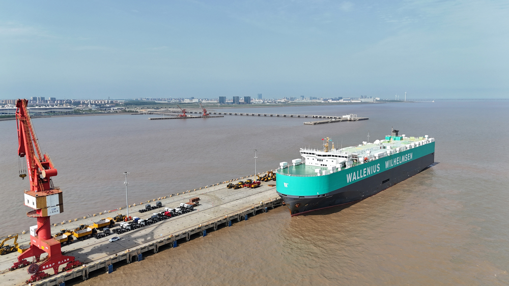 据介绍，该二期工程位于已建一期码头西侧，共设置2个7万吨级（GT）滚装泊位，主要新建包括长740米、宽60米的汽车滚装码头和长966米、宽18米的引桥各一座，并同步完成了港池疏浚、防撞设施建设、电气设施等配套工程。