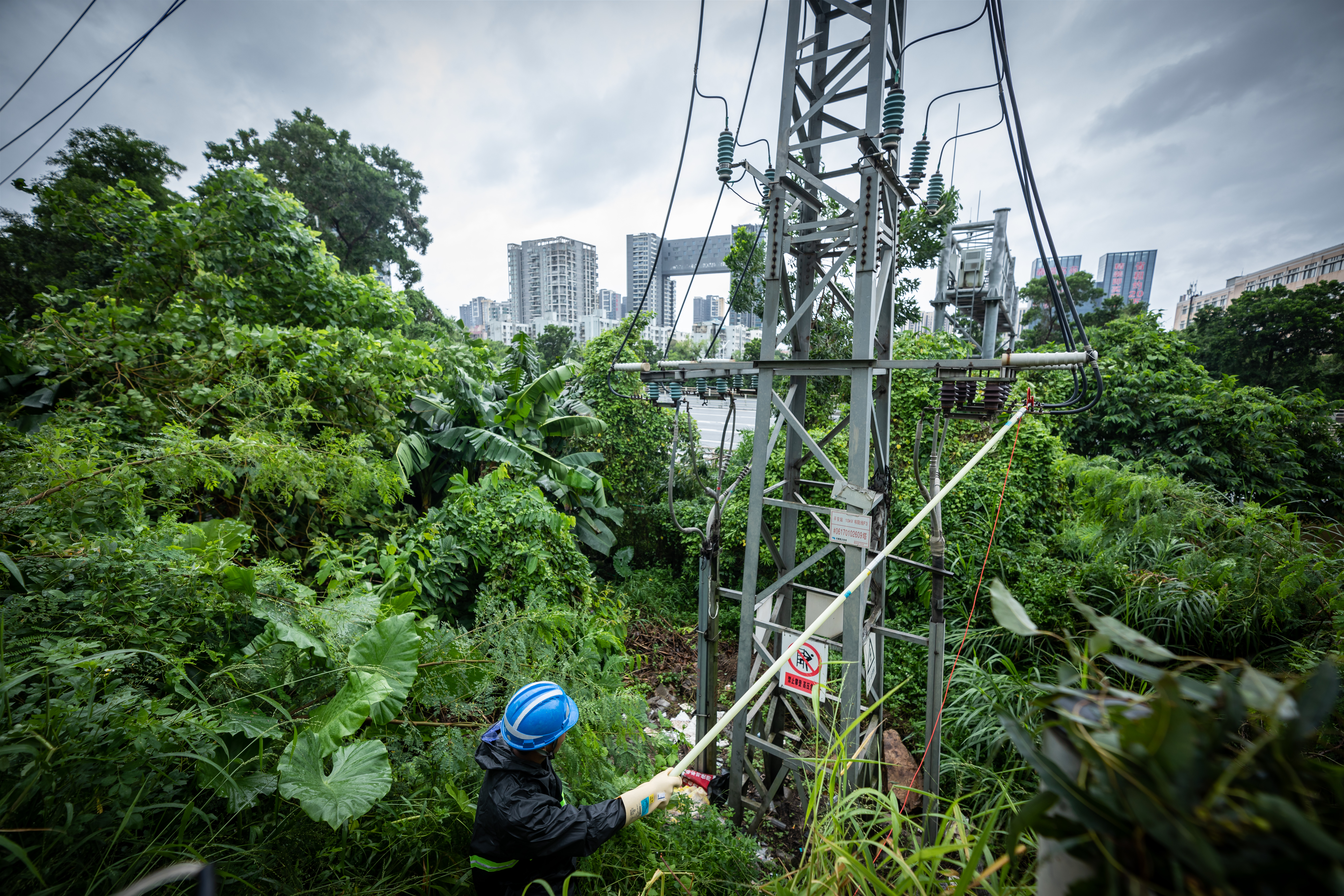 9月2日，国道107旁，台风“苏拉”过境后雨势刚减弱，南方电网深圳宝安供电局宝城分局供电人员立即抵达现场，对线路进行“诊脉”，除树障，快复电”。.jpg