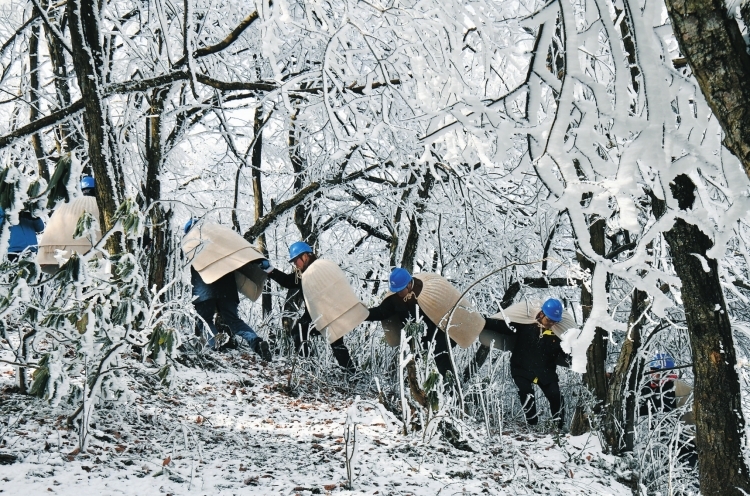 在贵州毕节威宁雪山镇，贵州电网公司毕节威宁供电局“披毡战队”手拉手穿过冰林。 罗凯 摄.jpg