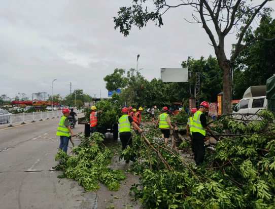 六局华南2.png 六局华南2.png