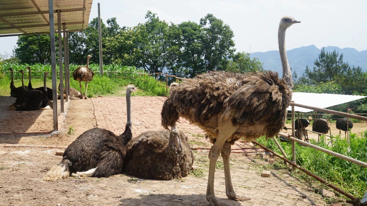 0fac3905e67c1b7919662dd2839ca019.jpeg 0fac3905e67c1b7919662dd2839ca019.jpeg