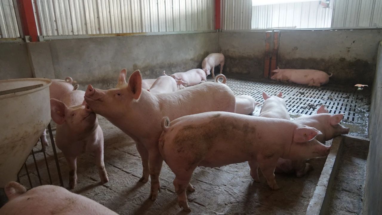 806f9cc2aa3994a859fc590c76034952.jpeg 806f9cc2aa3994a859fc590c76034952.jpeg