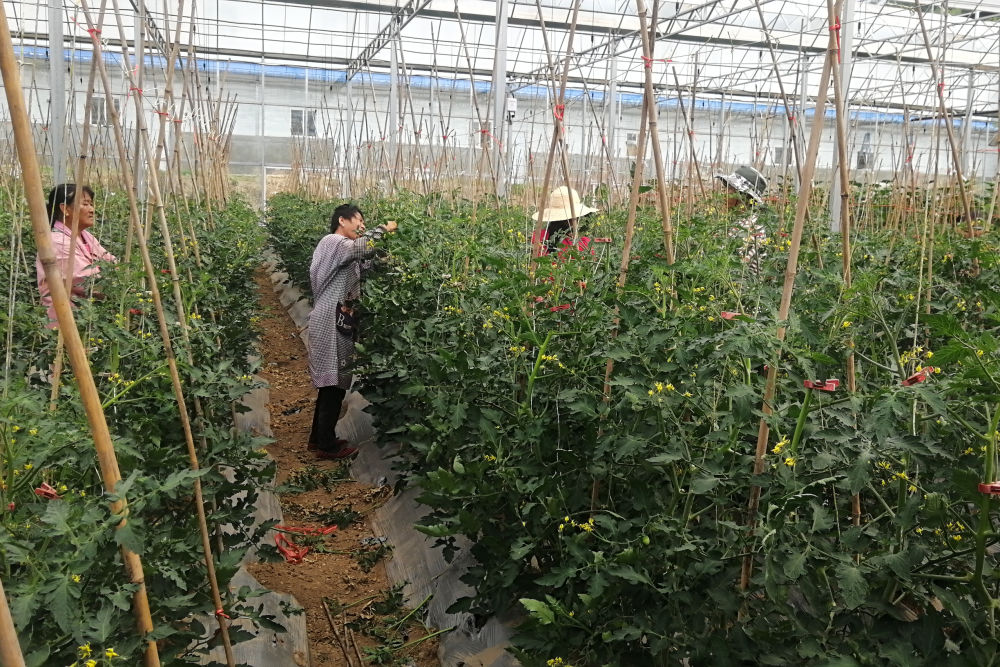 GsnfshC007024_20230913_CBMFN0A001.jpeg GsnfshC007024_20230913_CBMFN0A001.jpeg