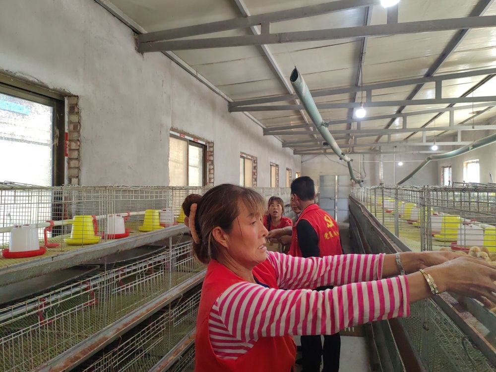 GsnfshC007024_20230913_CBMFN0A002.jpeg GsnfshC007024_20230913_CBMFN0A002.jpeg