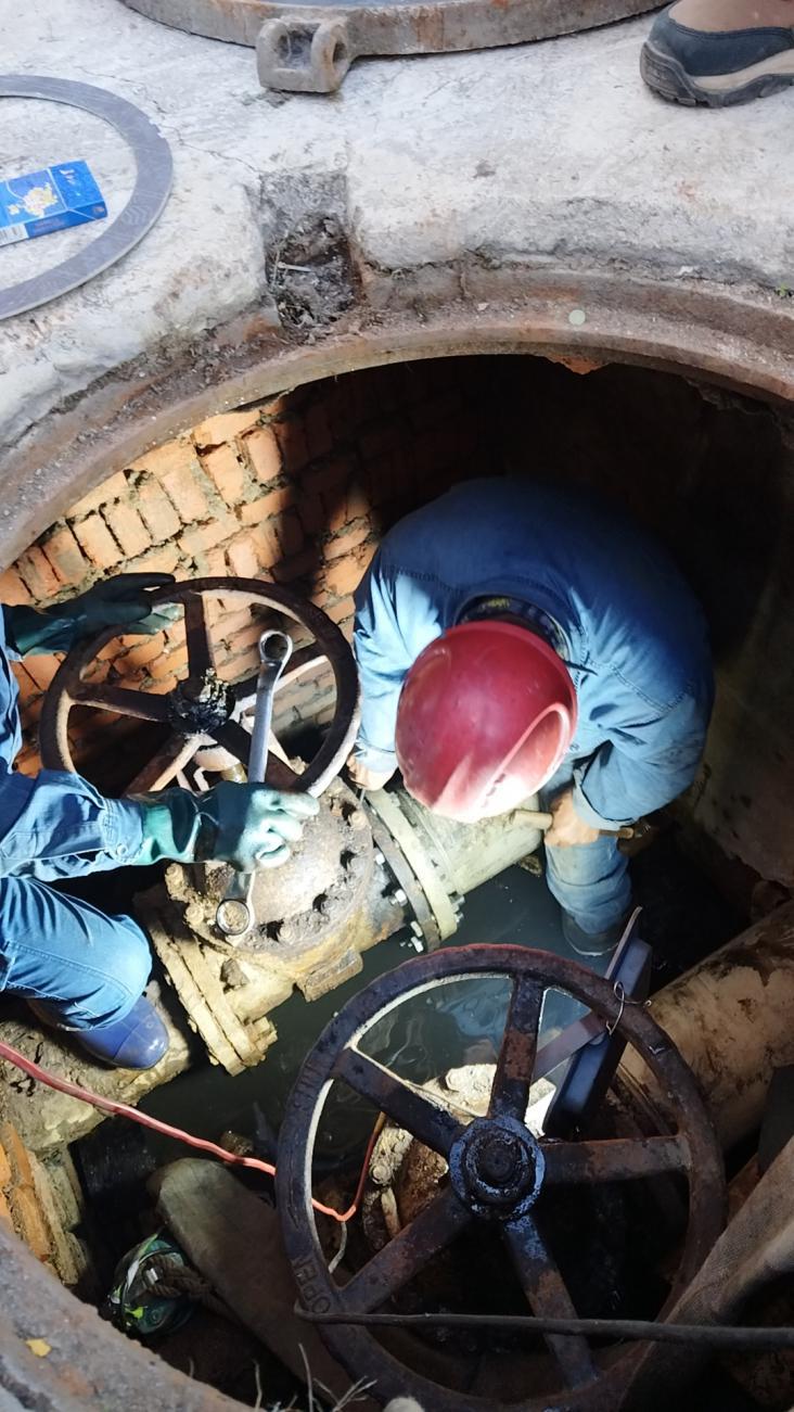 图片8.jpg 图片8.jpg