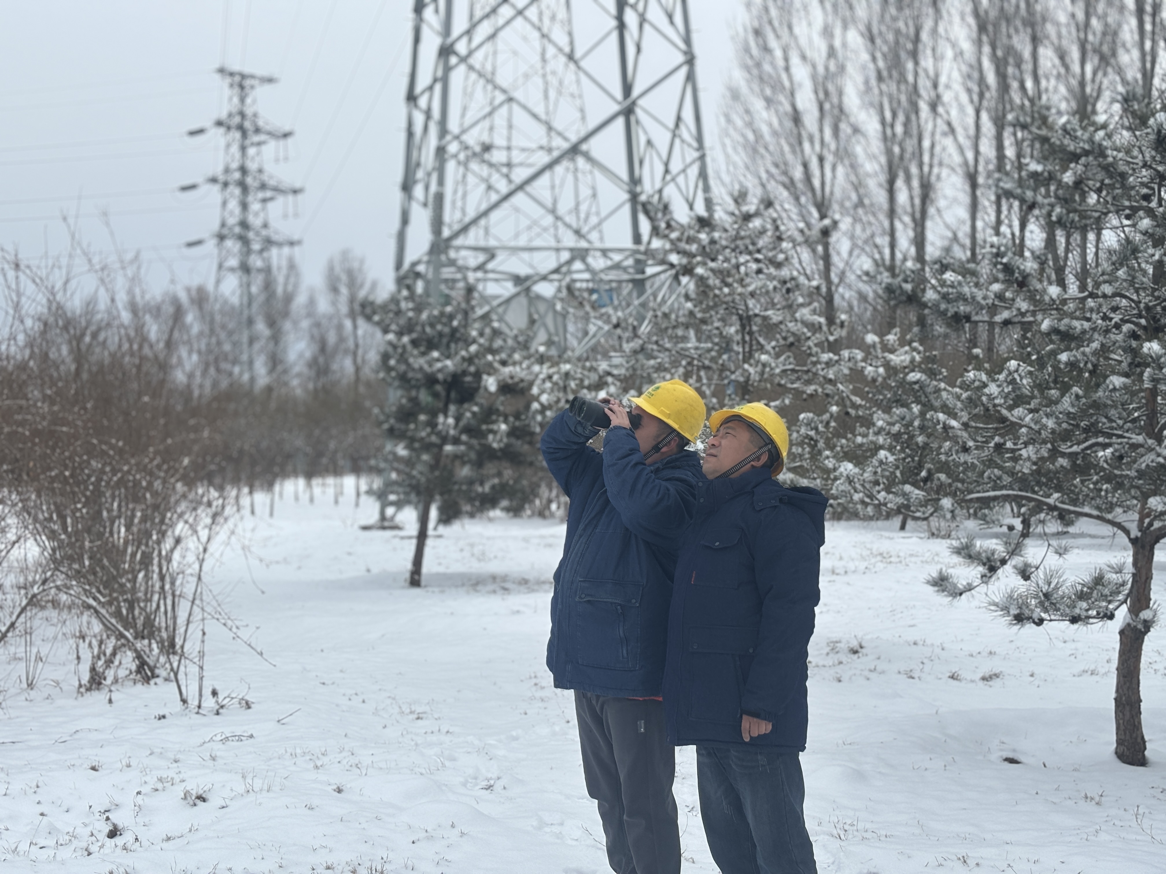 北京房山供电公司员工雪后测温巡视10千伏贾峪口线路.jpg