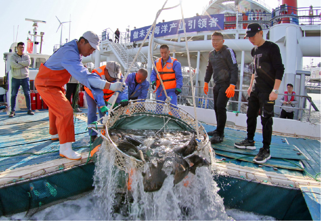 图片6.png 图片6.png