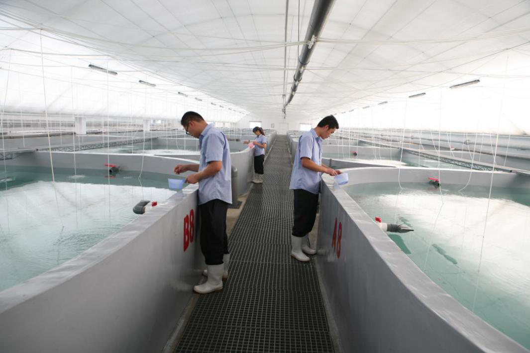 图片7.png 图片7.png