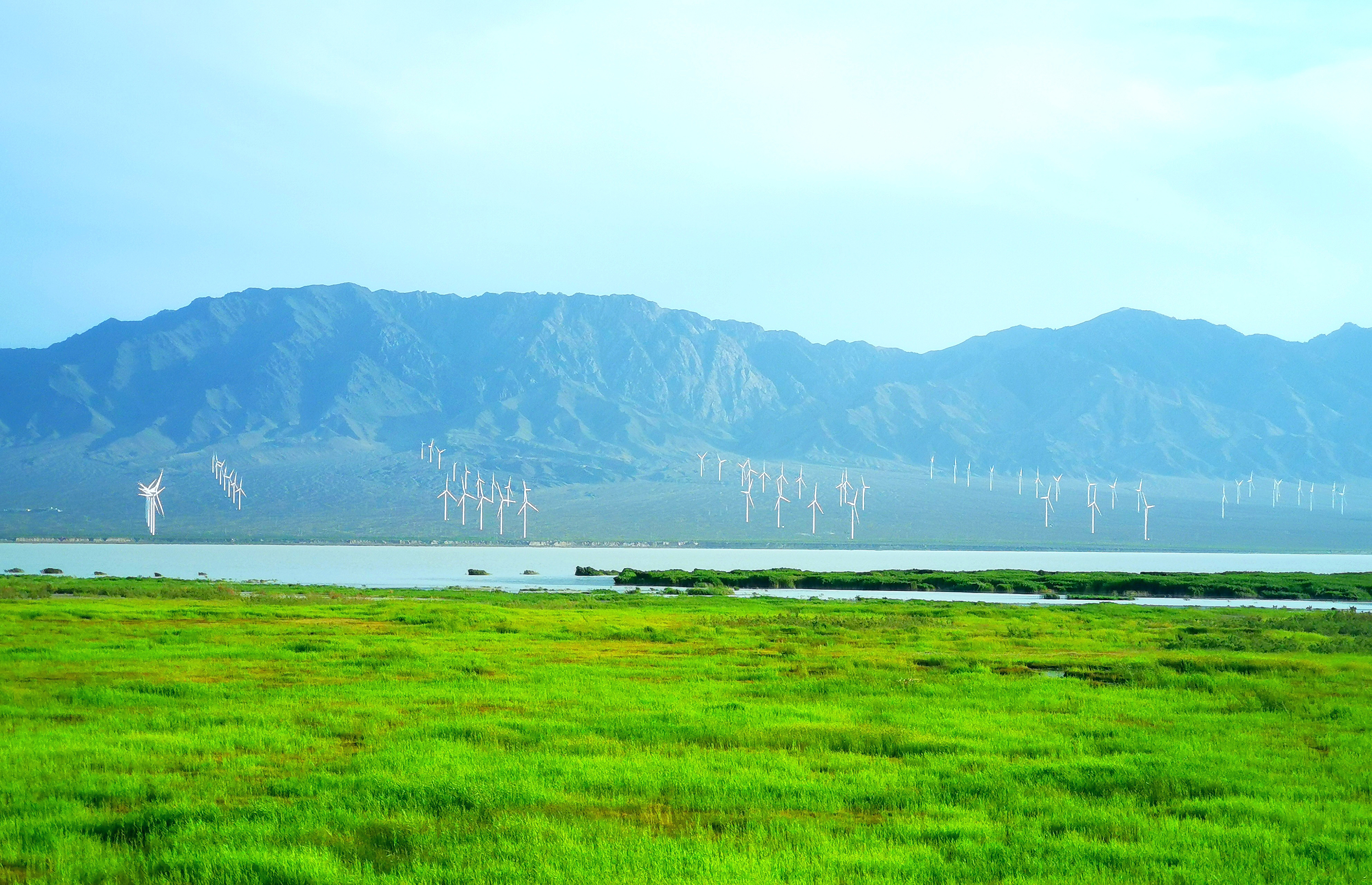 图：共享绿色生态 湿地旁的粤水电达坂城风电场.jpg