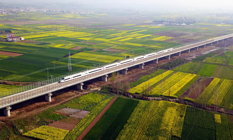 图为3月20日，动车组列车行驶在西成高铁陕西汉中洋县段。新华社发（唐振江 摄）