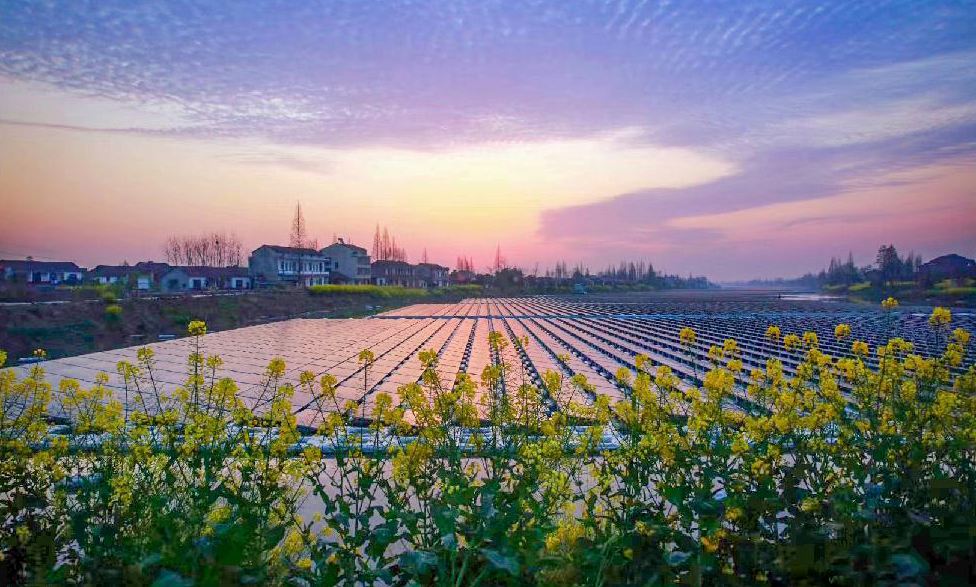 该工程位于湖南省沅江市，是目前国内漂浮体最长的渔光互补光伏发电项目，水域岸线长约8公里，水域面积约2200亩，装机容量100兆瓦，安装光伏组件近28万块。