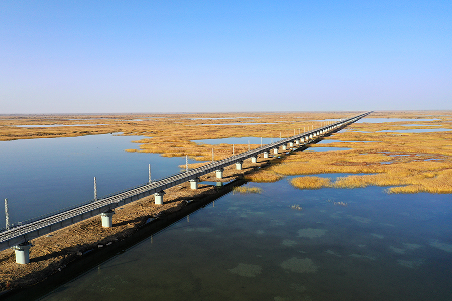 7月21日11时35分，随着最后一段轨排落下，格库铁路新疆段与青海段在新疆若羌县依吞布拉克车站3公里处，顺利实现接轨，至此，由中国铁建所属铁一院总体设计的格库铁路实现全线铺通，为年内全线开通运营打下了坚实基础。图为格库铁路最长大桥——台特玛湖大桥。