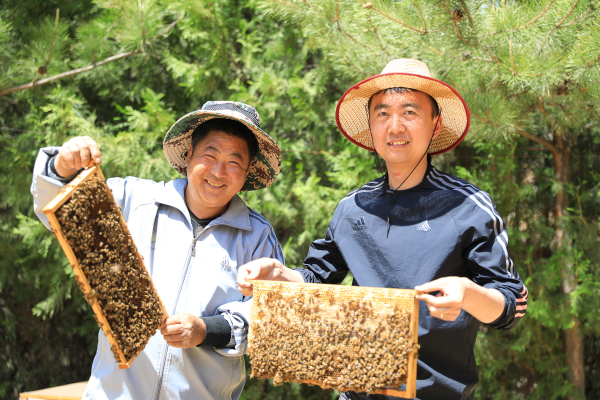 高飞帮助村民销售了1000多斤蜂蜜。