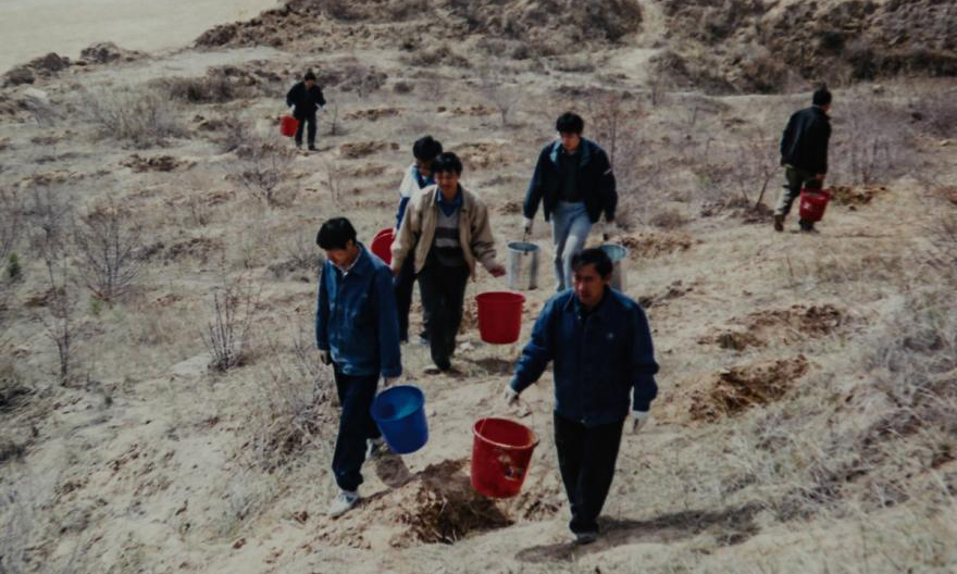 90年代准能集团职工为树苗浇水。