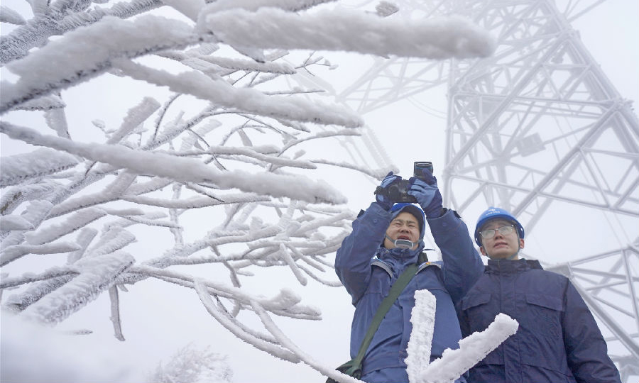 12月15日，南方电网广西桂林供电局员工在对220千伏Ⅱ线50号杆杆塔线路进行红外测温。 莫晓姣 摄