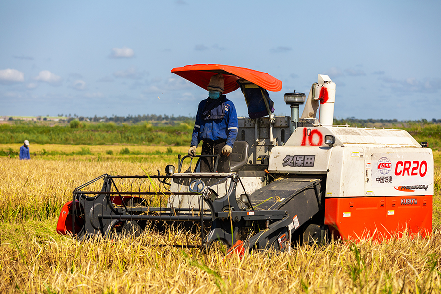 经过3个月的艰苦努力，日前，中国铁建所属中铁二十局合作管理的中非赛赛农业合作项目圆满完成了第四季水稻种植工作。图为员工操作机械收割水稻。
